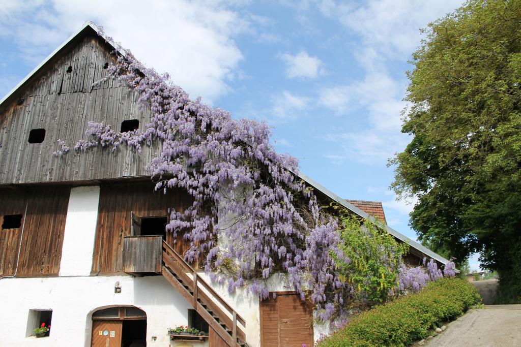 Pension Neuhof オッシアッハ エクステリア 写真